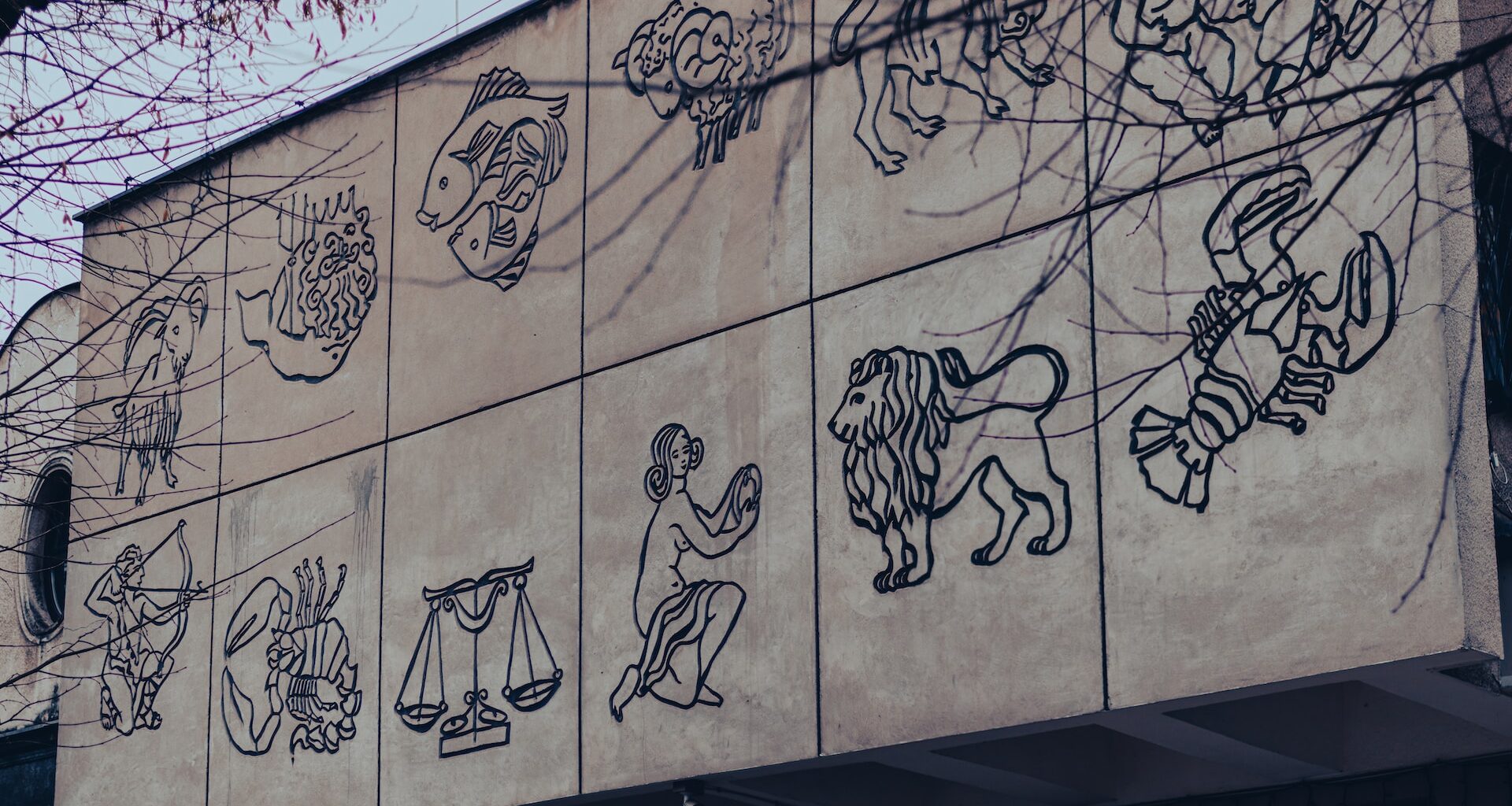 What Does Your Moon Sign Say About Your Emotional Intelligence?