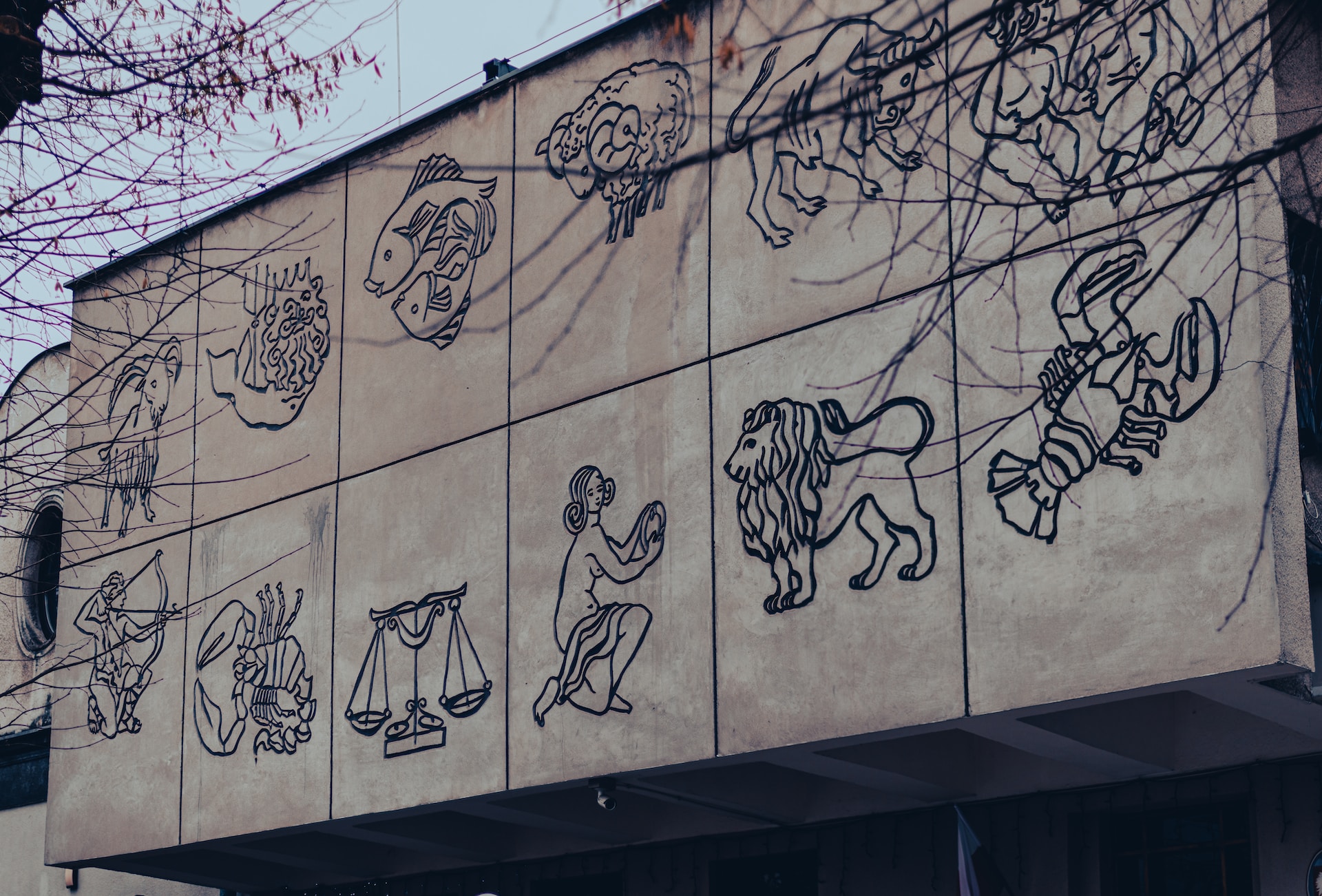 What Does Your Moon Sign Say About Your Emotional Intelligence?