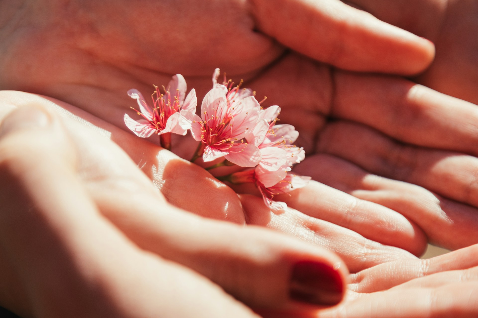 Under the Moon's Gaze: A Journey into Personal Healing